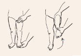 발달을 도와주는 이른둥이 운동법:5. 다리 구부리기